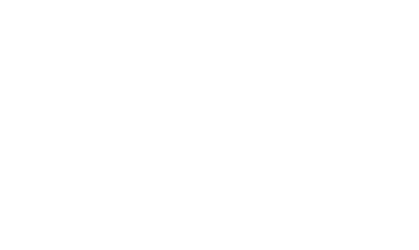 Dima Saleh Logo